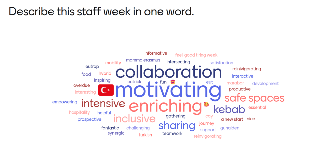 A word cloud describing the participants' experience of the cross-WP staff week.