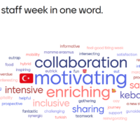 A word cloud describing the participants' experience of the cross-WP staff week.