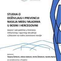 Cover of the study “Experience and Prevention of Youth Violence in Bosnia and Herzegovina,” fea-turing title text and author names on a blue background.