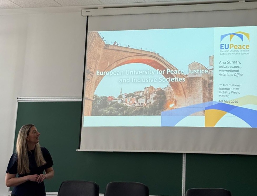 A person holding a presentation in front of a projection screen showing the bridge of Mostar, EUPeace's logo.