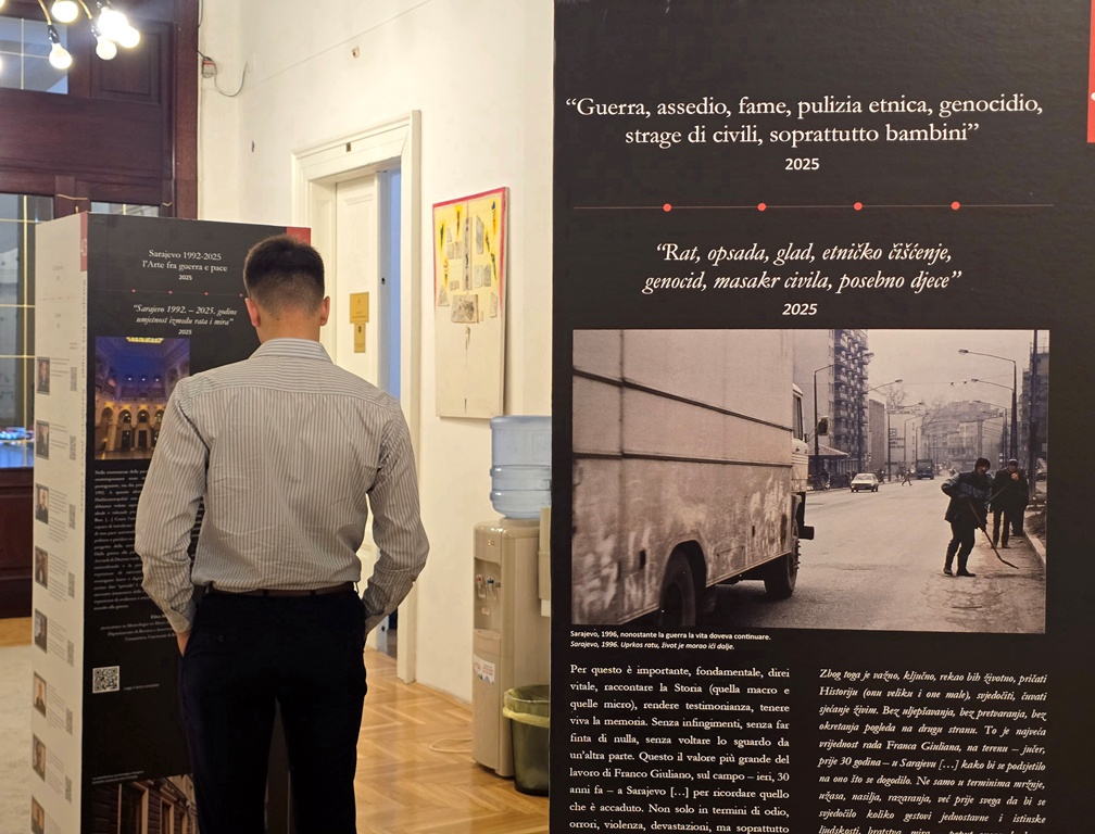 A person photographed from behind looking at the information pillars from the exhibition.