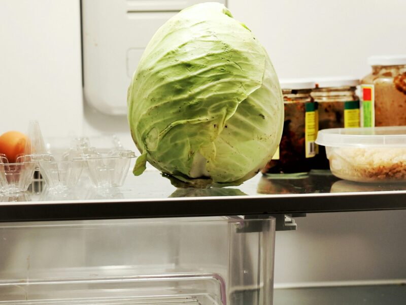 View into an open, sparsely stocked fridge. On a glass shelf sit a single head of green cabbage, an egg tray holding only two eggs, a few jars of preserved food and a plastic container of rice. The drawer beneath the shelf is empty.