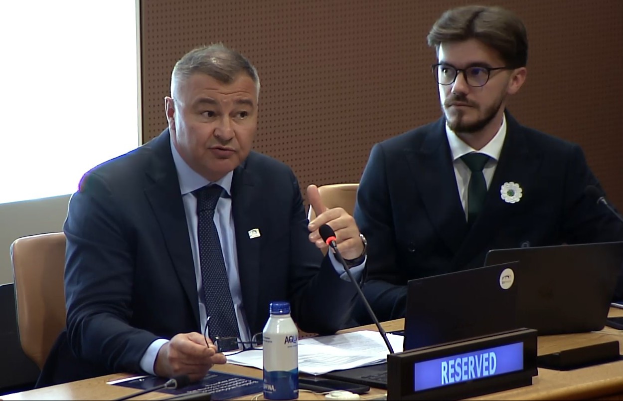 Professor Kemal Durić addresses the meeting, gesturing beside an active conference microphone.