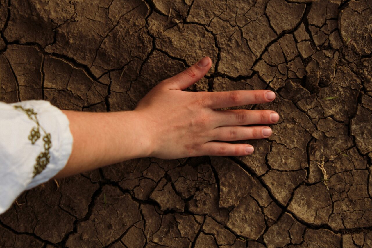 Aerial view of a hand touching dried soil.